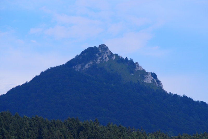 P8100032