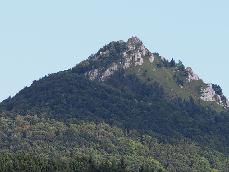 P8170013