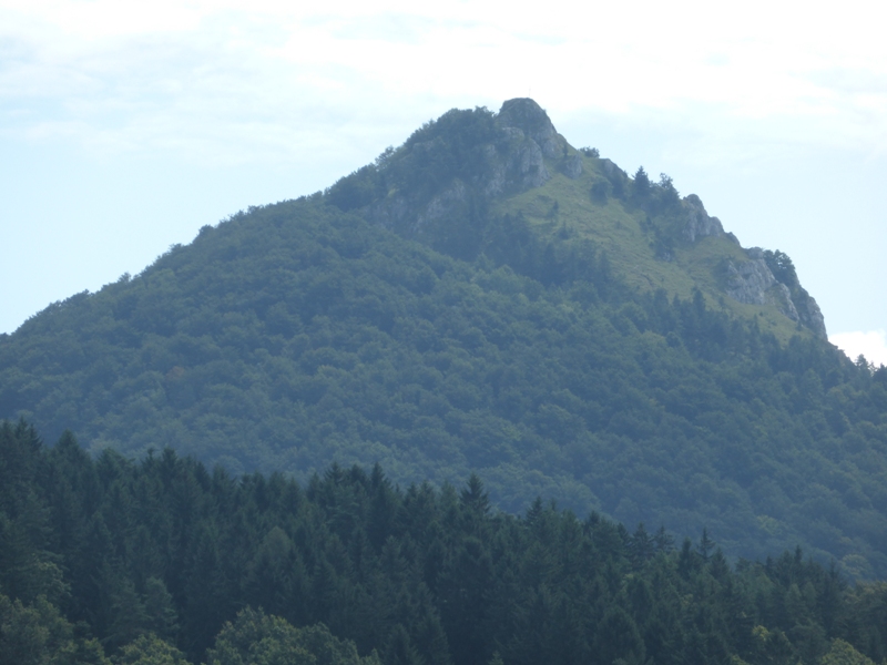 P1020908